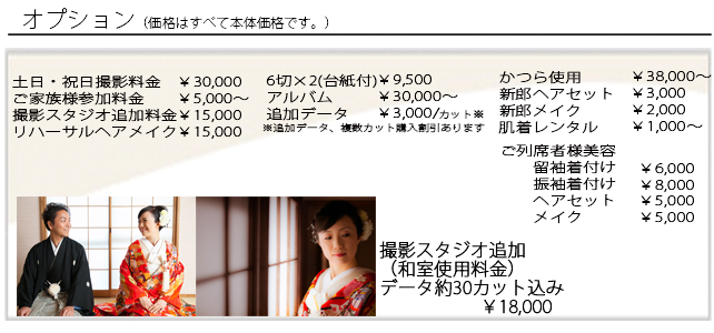 オプション(価格はすべて本体価格です) ドレス