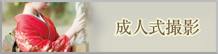成人式撮影